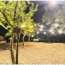 마이산 가자캠핑장 이미지