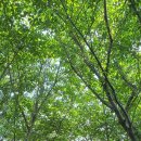 낙동제방길-1 이미지