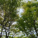 파크선샤인제주 관광호텔 이미지