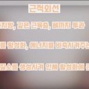 홍이화 이미지