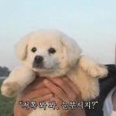 부평고모네곱창 이미지