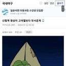 신림역 영상이 고어짤보다 무서운게 이미지