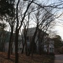 상원사 동종 Daum카페