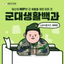 비조카 이미지