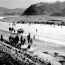 진부초등학교 이미지