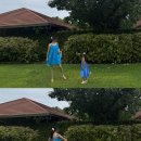 하나투어 매일관광 외 이미지