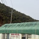 삼부자미나리 이미지