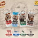 도기도기펫 이미지