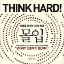 몰입