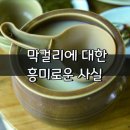 막걸리에 대한 흥미로운 사실 이미지