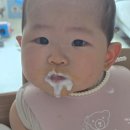 효자농원 | 아기 첫 유기농 요거트_상하목장 베이비 유기농 요거트 솔직 후기+간단 조합, 요거트 급여 시 주의할 점