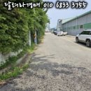 자연건강그신비를캐는사람들
