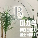 대치서울이비인후과의원 | 대치역 쿨소닉 리프팅, 뷰티라운지에서 탄력 관리 받고 온 솔직 후기