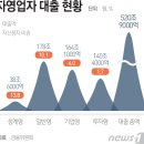 대출 규제 방향, 여신심사 가이드라인에 자영업자 대출 및 부동산 임대업자 등 투자형 자영업자 대출 분리 접근 이미지