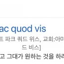 개발새발 이미지