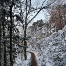 ＜제235차 신년산행＞ 전남 무등산(1.187m)공지 이미지