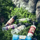 타이어앤휠얼라먼트 | 홈럼&#39;s 제품소개 l 세알남 세차용품 l 철분제거제 카샴푸 휠앤타이어 유리발수코팅제 퀵디테일러 물왁스