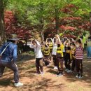 진해 유아숲체험원 이미지