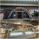 돋보기 과학관 여행 | 🌱 [대전국립중앙과학관] 자연사관 '찍찍이와 헬리콥터는 어디에서 왔을까?' 수업 후기