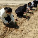 안계중학교 이미지