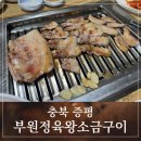 부원식당 | 충북 증평 삼겹살 맛집 고기가 맛있는 부원정육식당 후기