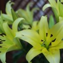 계림한의원 이미지