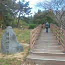 충남 태안군 태안읍 백화산(白華山,284m) 이미지