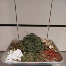 보제한의원 이미지