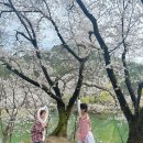 덕천서원화장실 이미지