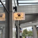 댕데이지 이미지