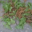 동궁초등학교 이미지