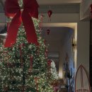 거전농장 | [공지] 2025년의 샬롬이네 이야기