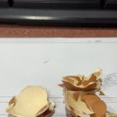 태하스시 | 가을아어디까지왔니겨울아또어디숨었니