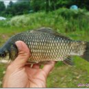 산천낚시터 이미지