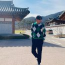 닥터로이 이미지