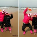 에스와이오