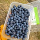 병철농장 이미지