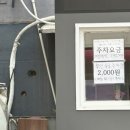 &lt;맛집&gt; 브루클린 더버거 조인트 올림픽공원점 / 수제버거맛집 / 주차정보 /메뉴추천