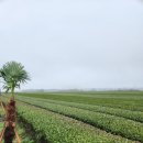 우진영농조합법인 이미지