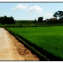 베스트원부동산중개법인주식회사 이미지