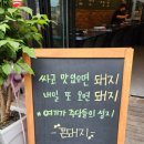 꼰돼지 이미지