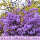 청주대학교 사회복지행정대학원 이미지