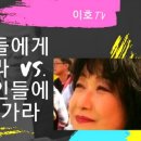 이호랑37 이미지