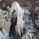 숲속의 둥지 이미지