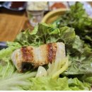 벌떡 장어 이미지