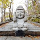 돌계단(階段)과 돌부처 이미지