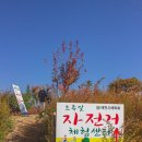 주식회사 에코브릿지 | 명사와 함께하는 1박 2일 제천 팸투어 2일차 (떡 만들기 체험, 삼한의 초록길, 에코브릿지, 제천 전통시장)