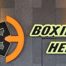 뉴챔프복싱 이미지