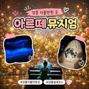 봉황그린 | 아르떼뮤지엄 강릉 실내 가볼만한곳 미디어아트 전시 관람후기