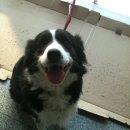 반포4동 주민센터 이미지